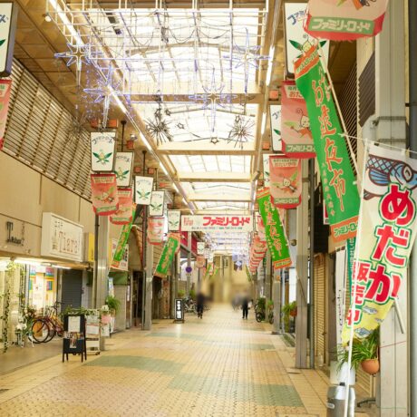 Amazon.co.jp: 大阪行幸記念御写真帖/非売品/昭和4年/大阪府御