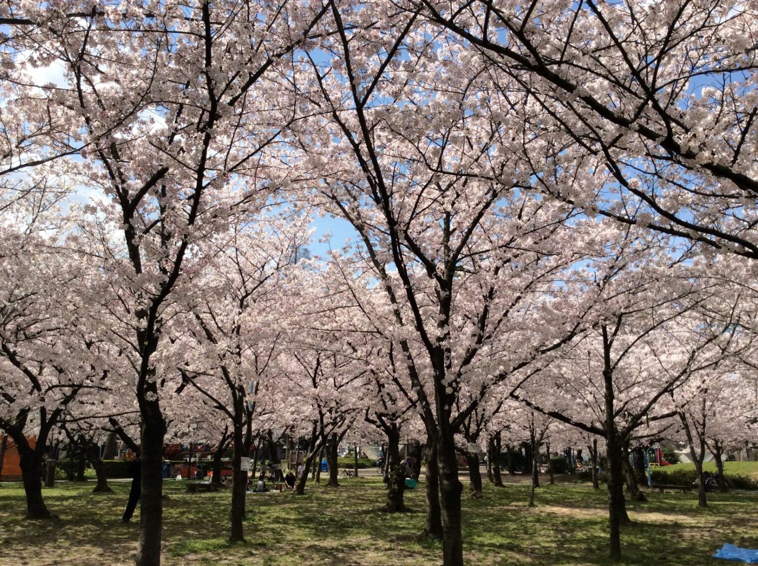 城北公園_千林商店街