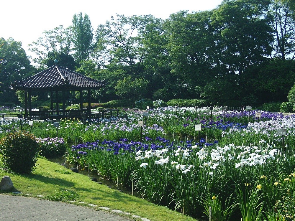 城北公園_千林商店街