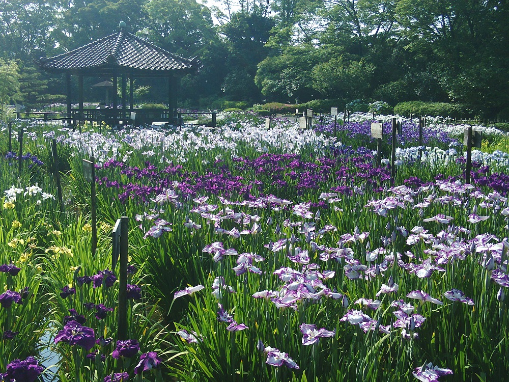 城北公園_千林商店街