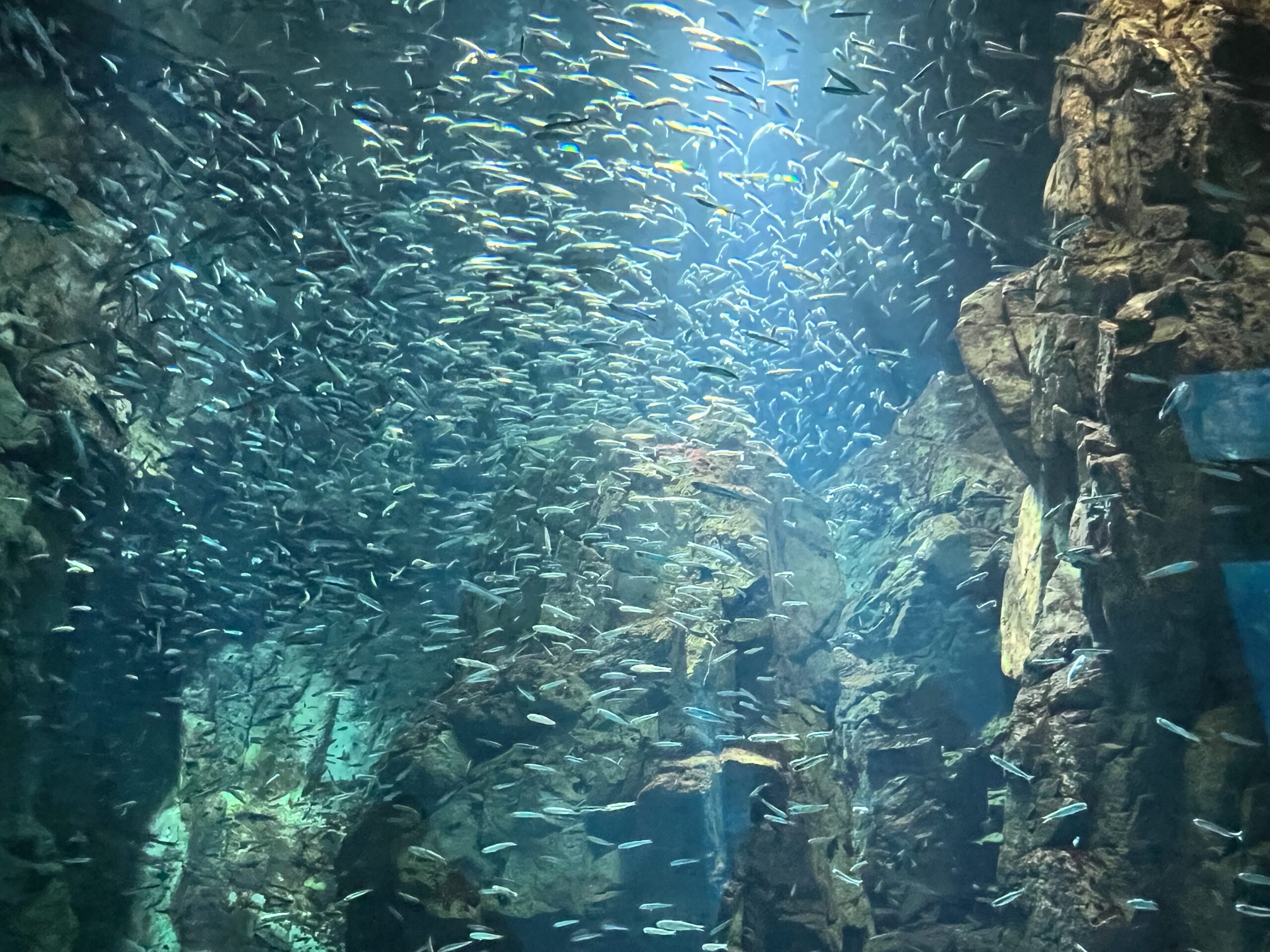 海遊館_天保山商店会