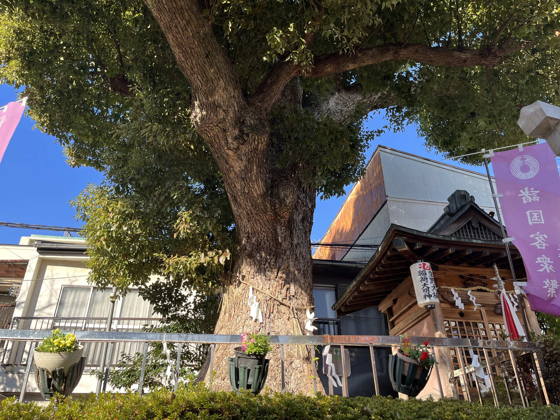 生野八坂神社_生野銀座商店街