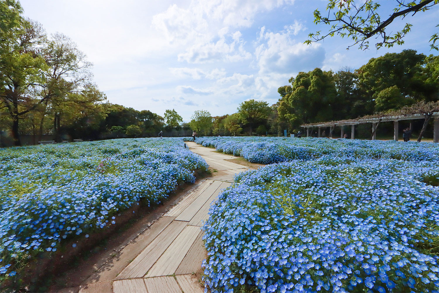 長居公園_西田辺商店街